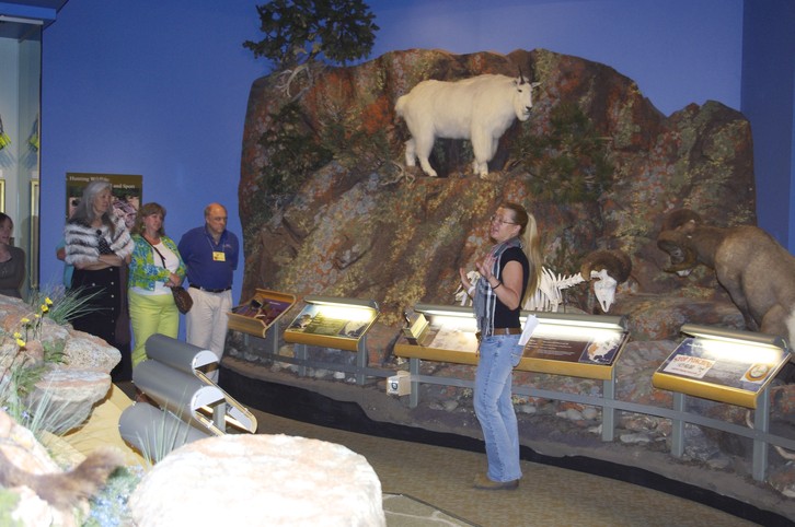 Buffalo Bill Historical Center