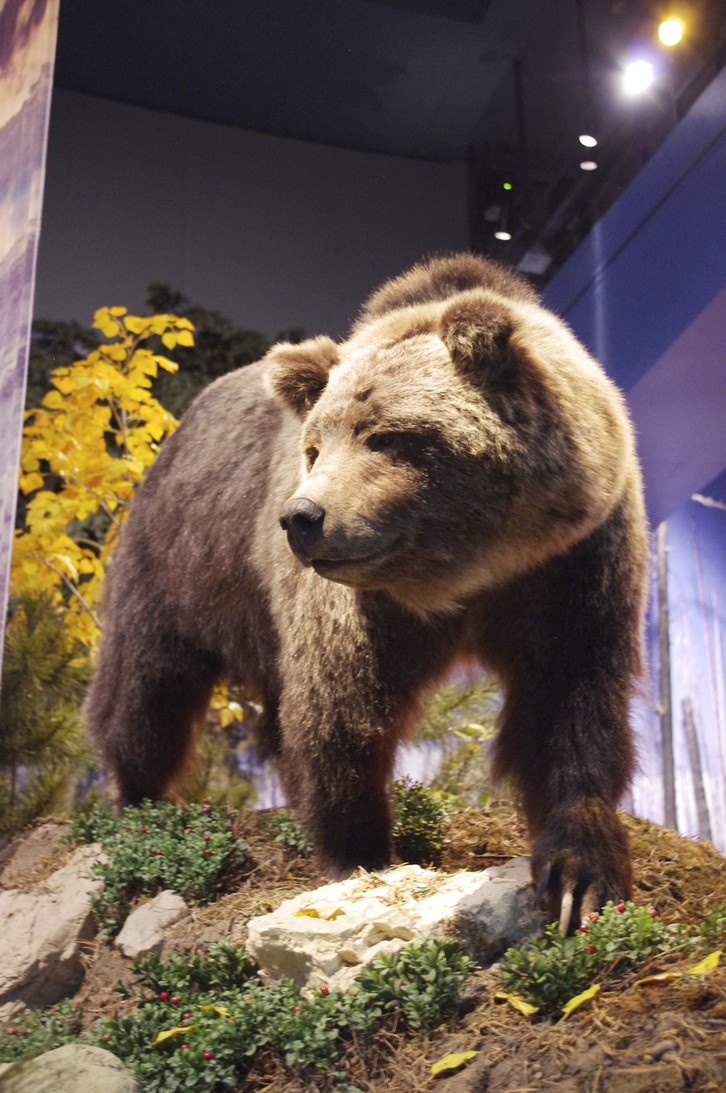 Buffalo Bill Historical Center